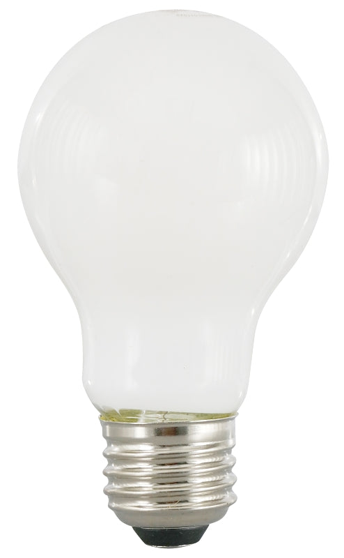 40753 BULB LED A21 FRST DAY13W