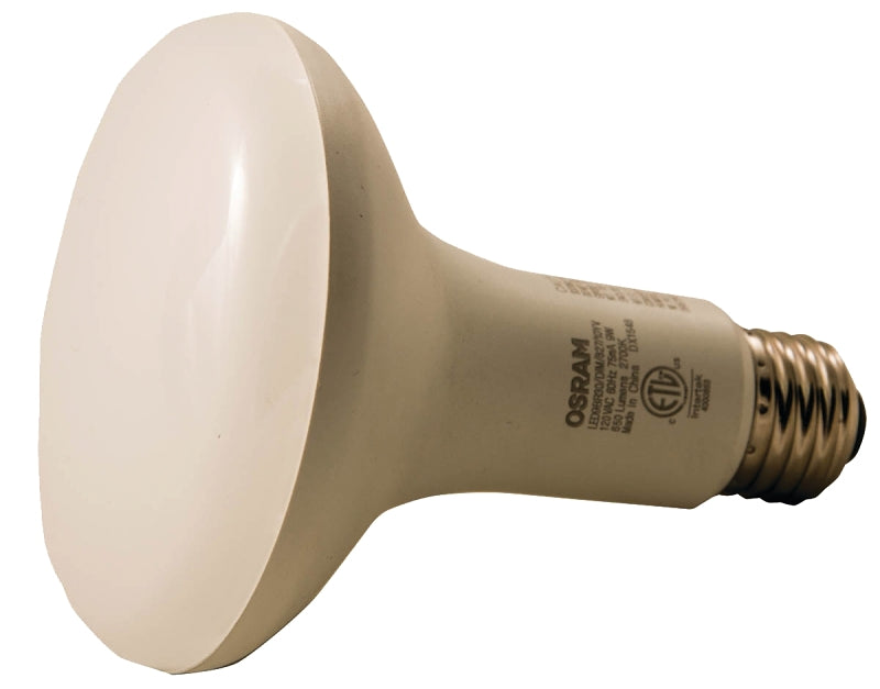 73954 BULB LED 10Y 65WBR30 27K