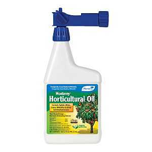 Monterey LG 6294 Horticultural Oil, Liquid, Outdoor, 32 oz