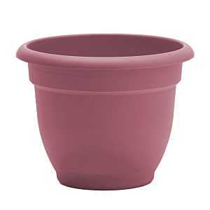 Bloem Ariana Series AP1234 Planter, Elegant, Traditional Design, Resin, Dusty Rose