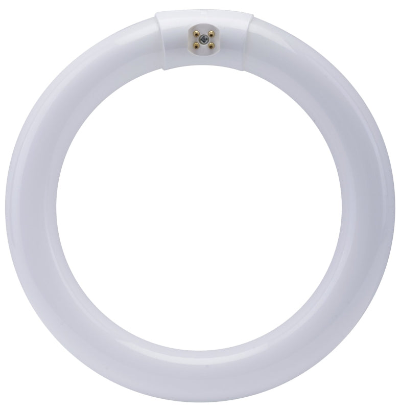 Feit Electric FC8T9/D Fluorescent Bulb, 22 W, T9 Circline Lamp, G10q 4-Pin Lamp Base, 980 Lumens, Daylight Light