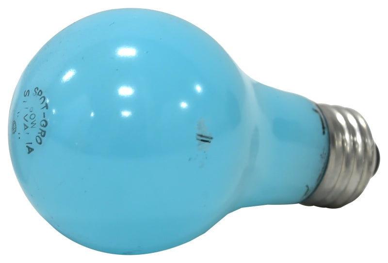 Sylvania 12280 Incandescent Bulb, 60 W, A19 Lamp, Medium E26 Lamp Base, 705 Lumens, 2850 K Color Temp