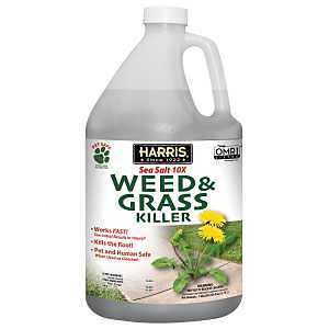 WEED & GRASS KILLER RTU 128OZ