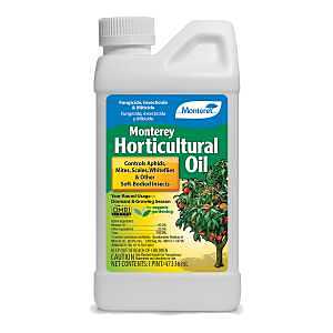 Monterey LG 6286 Horticultural Oil, Liquid, 1 pt