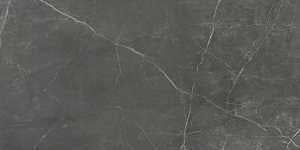 Emser Tile Sterlina II Series F20STERAS1224 Porcelain Tile, 24 in L Tile, 12 in W Tile, Rectified Edge, Asphalt