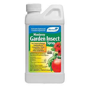 Monterey LG 6150 Garden Insecticide, Liquid, Spray Application, 1 pt