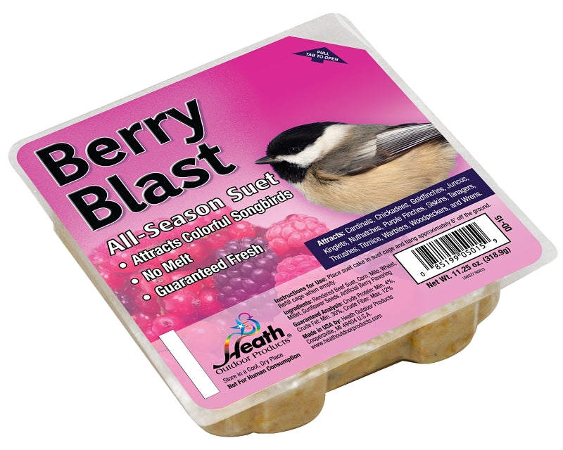 Heath DD-15 Suet Cake, All-Season, Berry, 11.25 oz