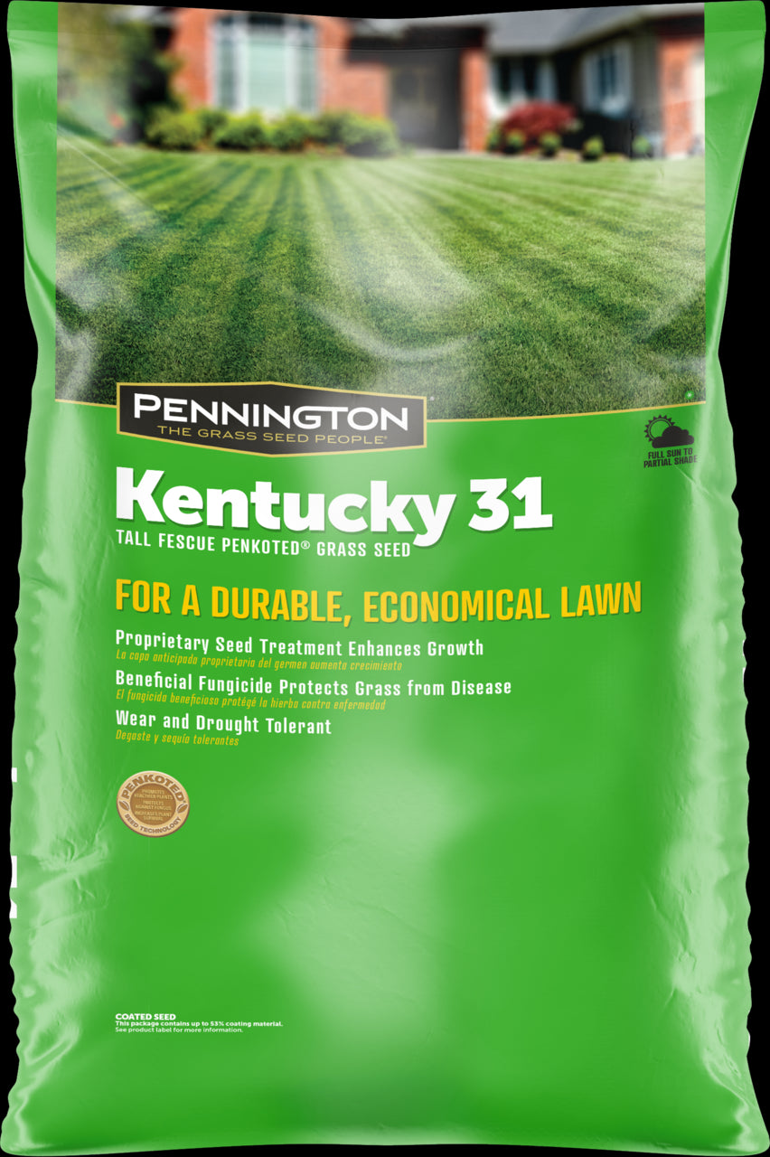 Pennington Kentucky 31 Series 100516056 Grass Seed, 50 lb Bag