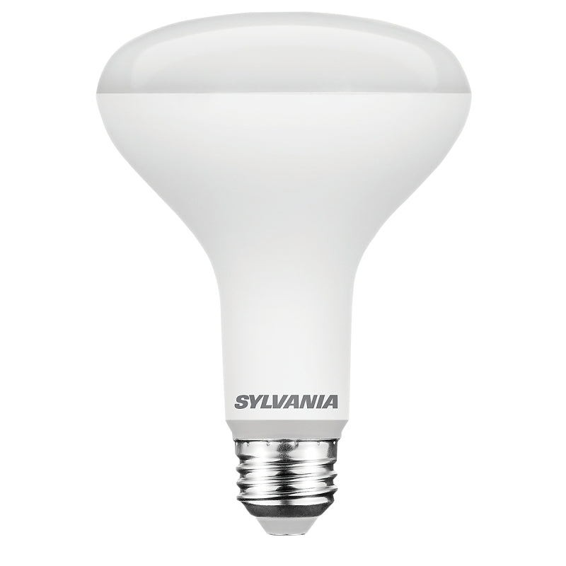 BULB LED BR30 DAYLIGHT 65W