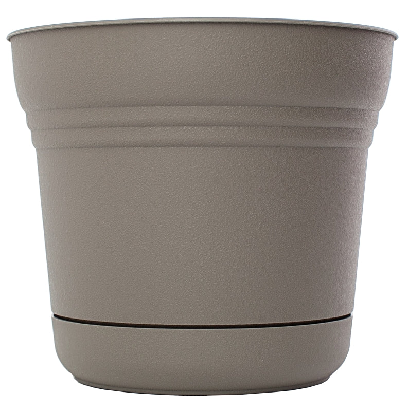 Bloem SP0560 Planter, 5 in H, 4-1/2 in W, Polypropylene, Peppercorn