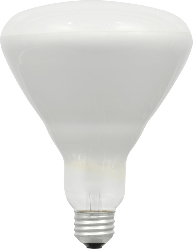 10079 BULB HALOGEN FLOOD 50W