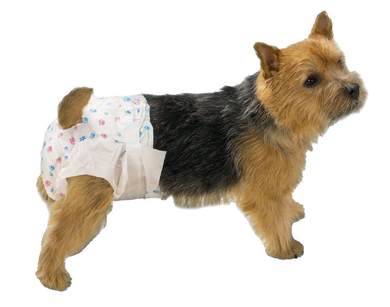 ClearQuest US948 08 Disposable Doggy Diaper
