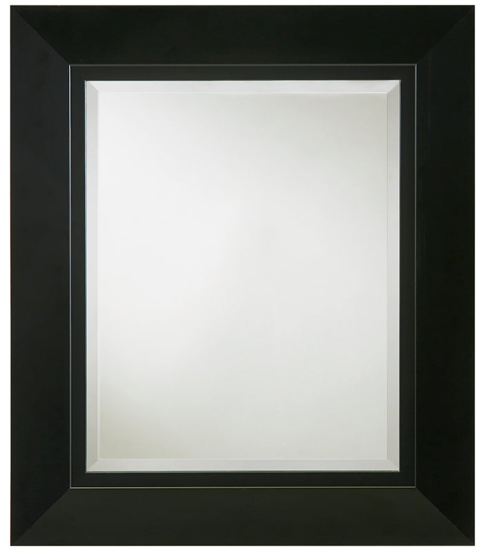 202461 23.5INX27.5IN MIRROR -