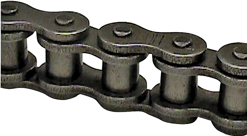 S06100 ROLLER CHAIN #100 10FT