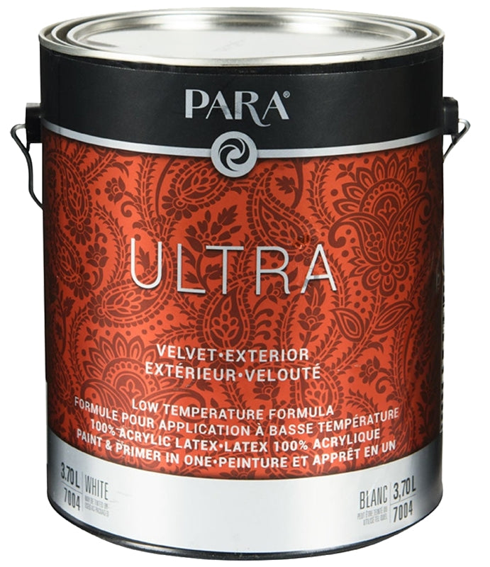 PR0047004-16 PNT EXLTX VEL TNT
