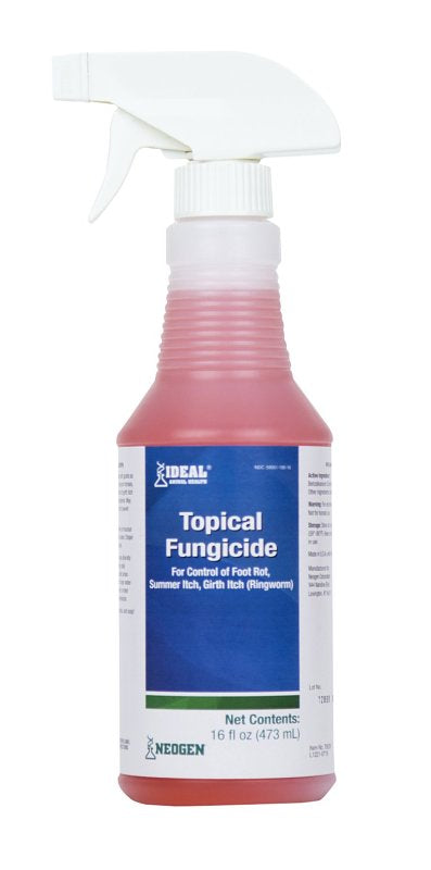 Neogen 79209 Topical Fungicide, 16 oz, Bottle