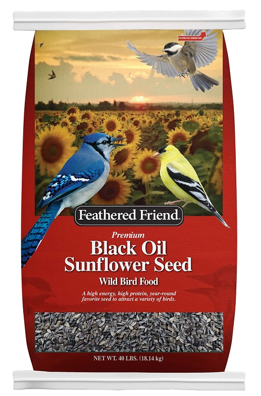 Feathered Friend 14422 Black Oil Sunflower Seed, 40 lb Bag