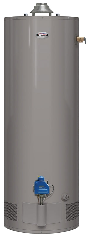 Richmond Essential Series 6G30-32F3 Gas Water Heater, Natural Gas, 29 gal Tank, 52 gph, 32000 Btu/hr BTU, Dark Warm Gray