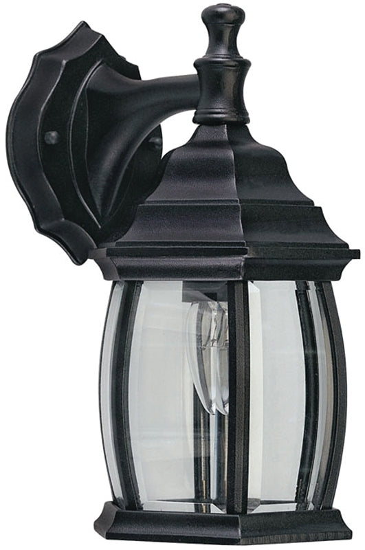 Canarm IOL1210 Outdoor Lantern, 120 V, 100 W, Aluminum Fixture, Black Fixture