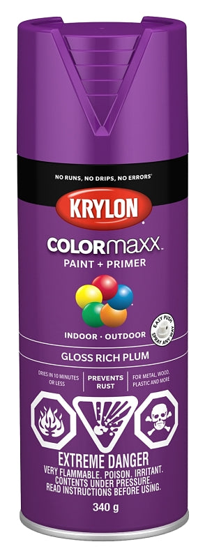 Krylon 455360007 Enamel Spray Paint, Gloss, Rich Plum, 12 oz, Can