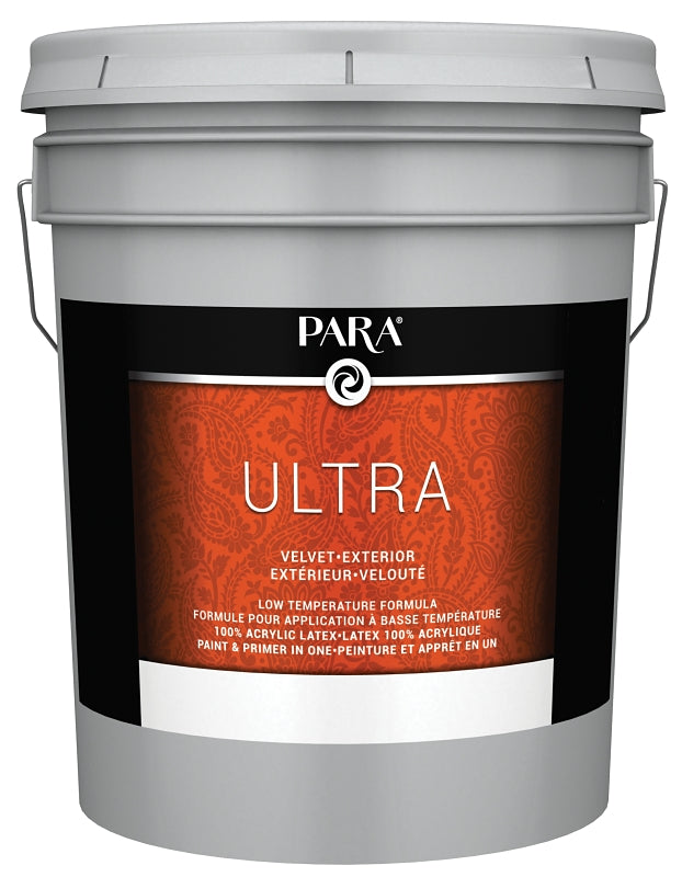 PR0047004-20 PNT EXLTX VEL TNT
