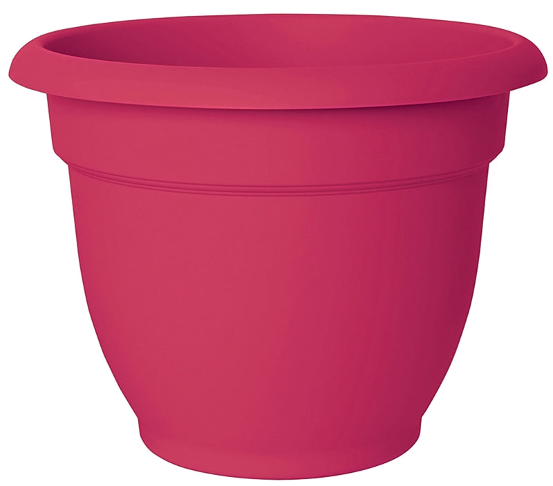 Bloem Self-Watering Planter, 1/2 gal Capacity, 6 in Dia 6-1/2 in Top x 3-1/2 in Base W x 6-1/2 in H, Resin