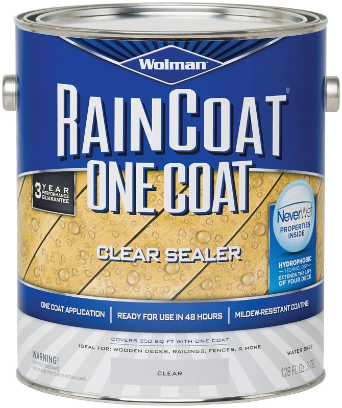 Wolman 288339 Sealer, Clear, Liquid, 1 gal, Can