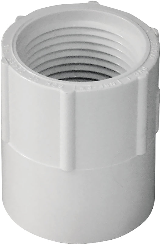 IPEX 435560 Pipe Adapter, 3/4 in, Socket x FPT, PVC, SCH 40 Schedule