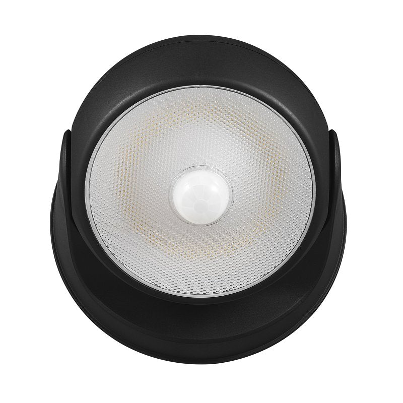 globe 17000183 Security Orb Light, LED Lamp, Daylight, 250 Lumens, 4000 K Color Temp, Black Fixture