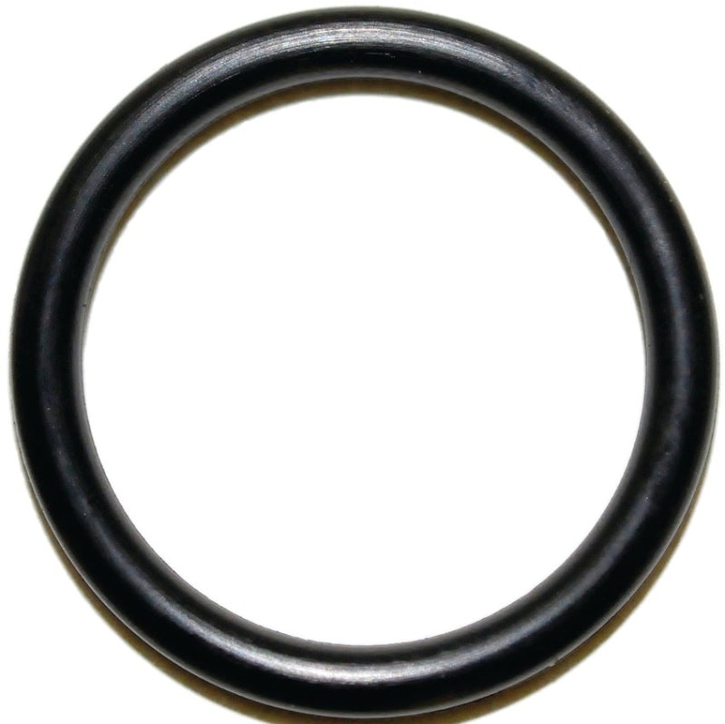 Danco 35749B Faucet O-Ring, #35, 9/16 in ID x 11/16 in OD Dia, 1/16 in Thick, Buna-N