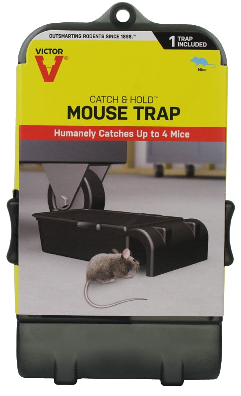 M333 MULTI CATCH MICE TRP