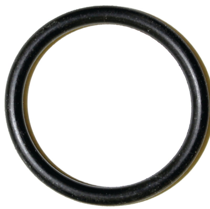 Danco 35776B Faucet O-Ring, #62, 5/16 in ID x 1-1/8 in OD Dia, 3/32 in Thick, Buna-N