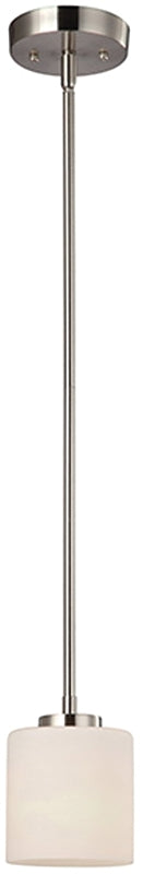 IPL423A01BN BRUSHED NICKEL FLA