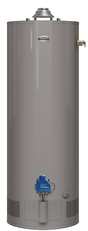 Richmond 9G50-38F3 Water Heater, Natural Gas, 50 gal Tank, 38000 Btu BTU, 0.64 Energy Efficiency, Dark Warm Gray