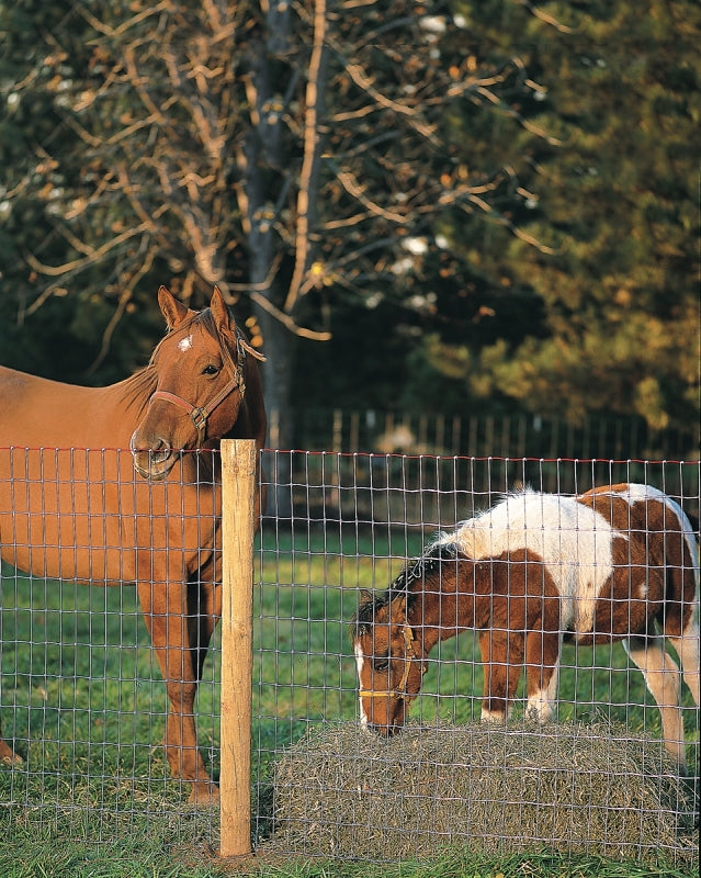 Red Brand Square Deal Tradition 70310 Horse Fence, 100 ft L, 48 in H, Non-Climb Mesh, 2 x 4 in Mesh, 12.5 ga Gauge