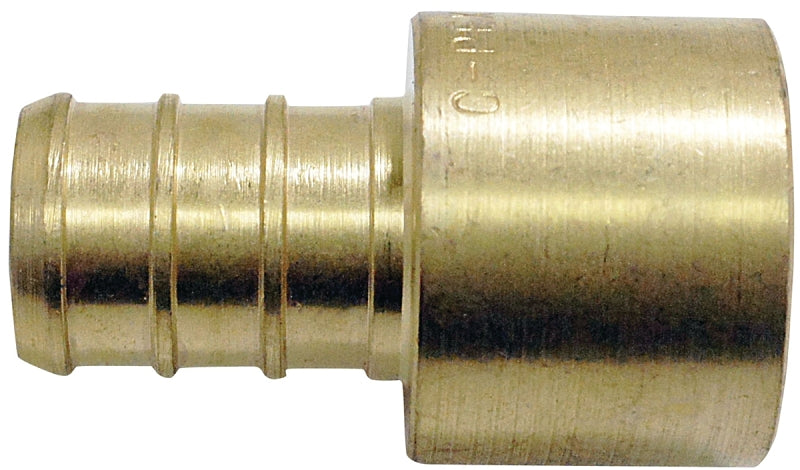 Apollo APXFS3434 Pipe Adapter, 3/4 in, PEX x Female Solder, Brass, 200 psi Pressure