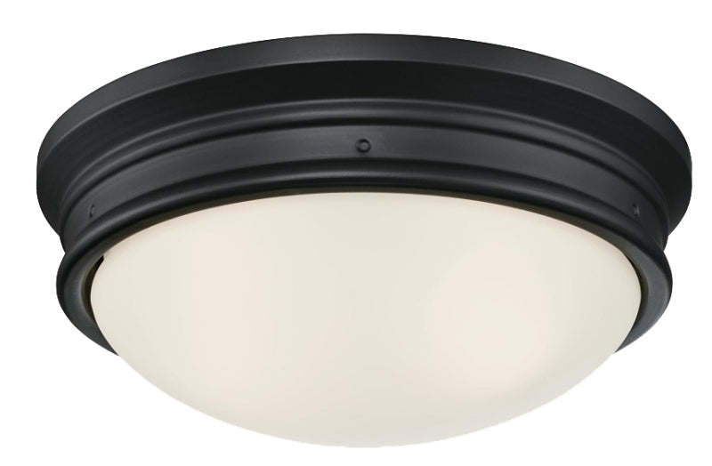 Westinghouse Meadowbrook Series 6324100 Flush Mount Ceiling Fixture, 120 VAC, 2-Lamp, Black Fixture, Matte Fixture