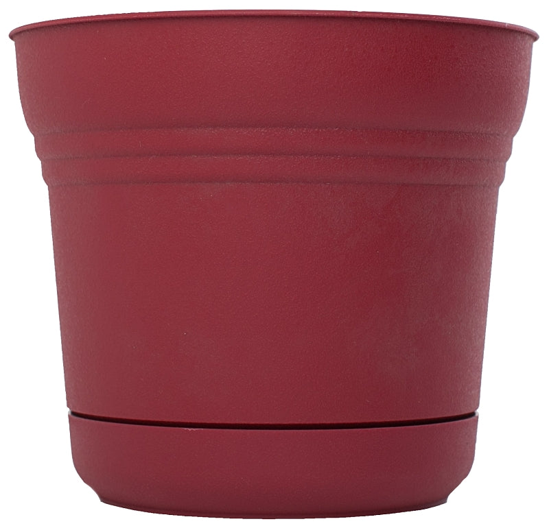 Bloem SP1212 Planter, 12.3 in H, 10.8 in W, Polypropylene, Union Red