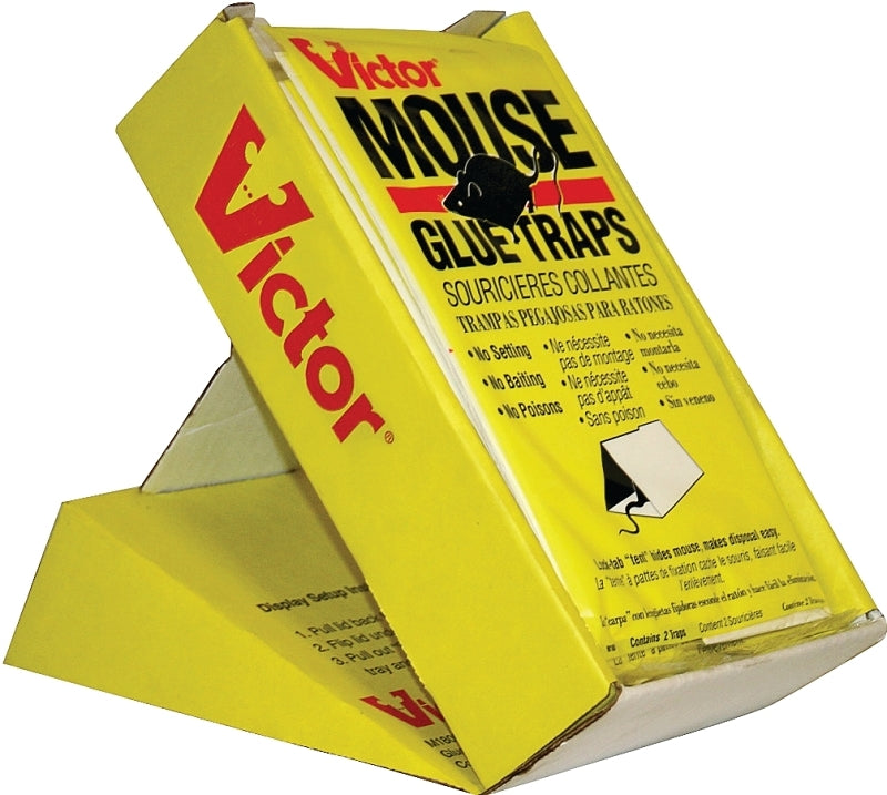 M180FR/M180CAN GLUE TRAP MOUSE