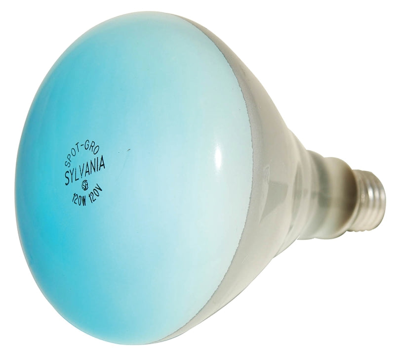 15836 BULB BR40 INCAN SPOTGRO