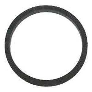 CHAPIN 6-3382 Cover Gasket, For: 301065 and 301191 Pump Rod Assembly