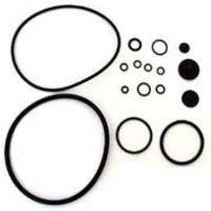 CHAPIN 6-5351 Repair Kit, For: 20200, 20225, 20226 and 20227 Compression Sprayer