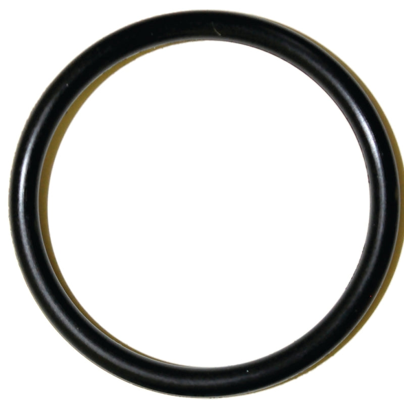 Danco 35778B Faucet O-Ring, #64, 1-1/8 in ID x 1-5/16 in OD Dia, 3/32 in Thick, Buna-N