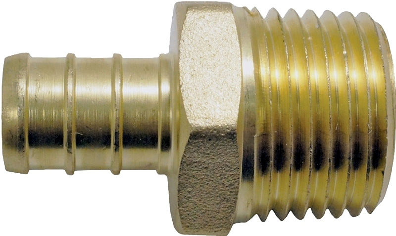 Apollo CPXMA1212 Pipe Adapter, 1/2 in, PEX x MPT, Brass