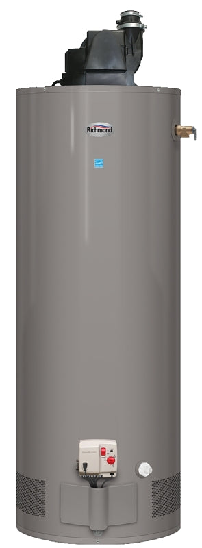 Richmond Essential Series 6GR50PVE2-42P Gas Water Heater, Liquid Propane, 50 gal Tank, 78 gph, 42000 Btu/hr BTU