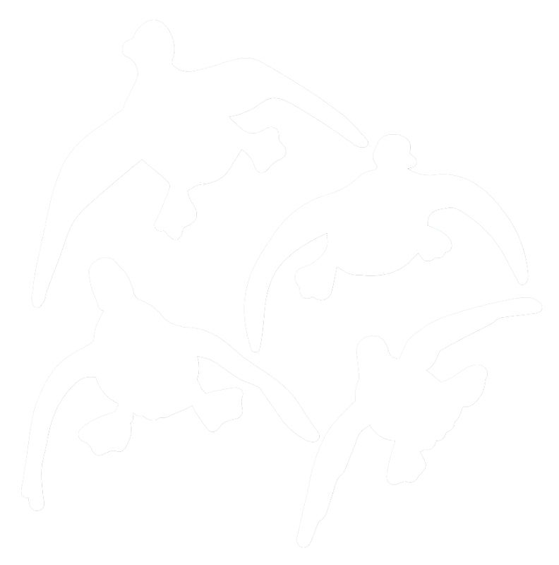 SDE5300 DECAL FLYING WHT 6X8IN