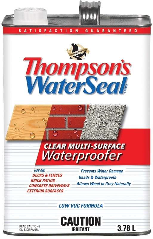 Thompson's WaterSeal THCP40014-16 Wood Protector, Clear, 3.78 L, Can