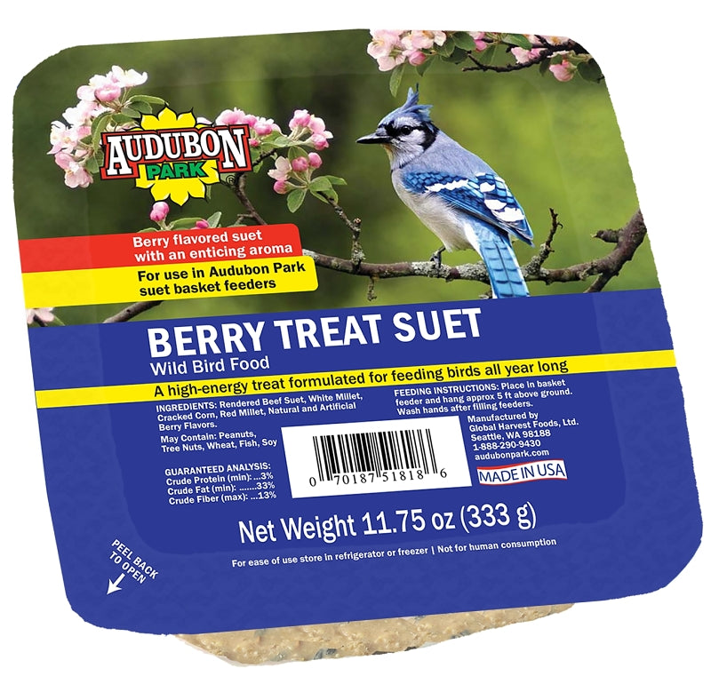 Audubon Park 13066 Berry Treat Suet 11.7 5oz