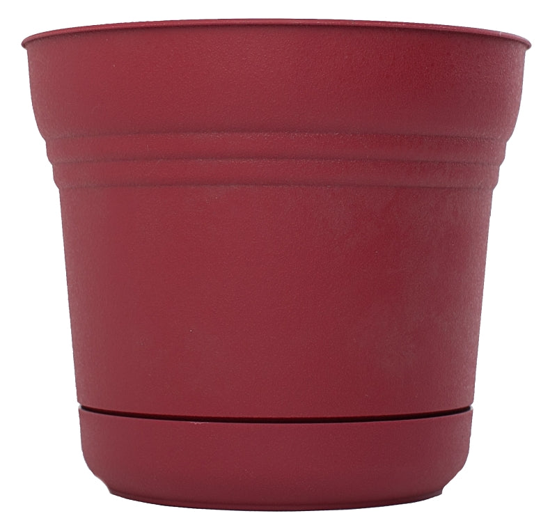 Bloem SP0512 Planter, 5 in H, 4-1/2 in W, Polypropylene, Union Red