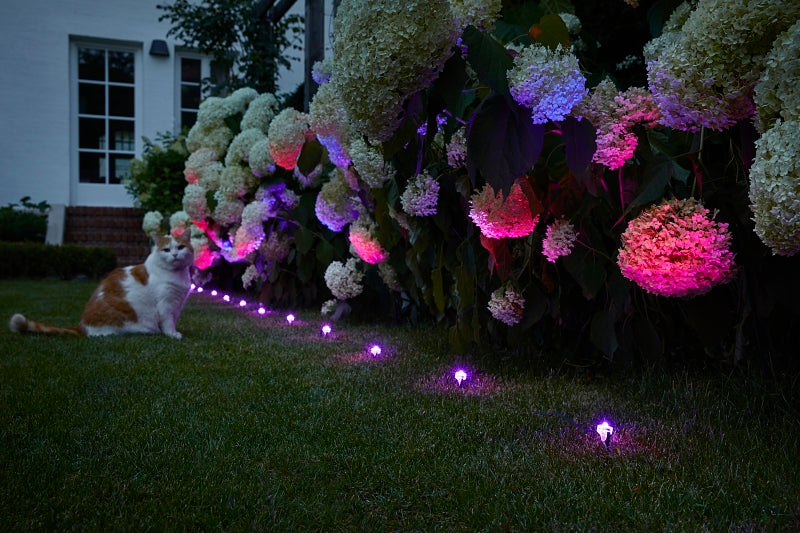 75540 LED LGT STRNG RGB 4.5FT